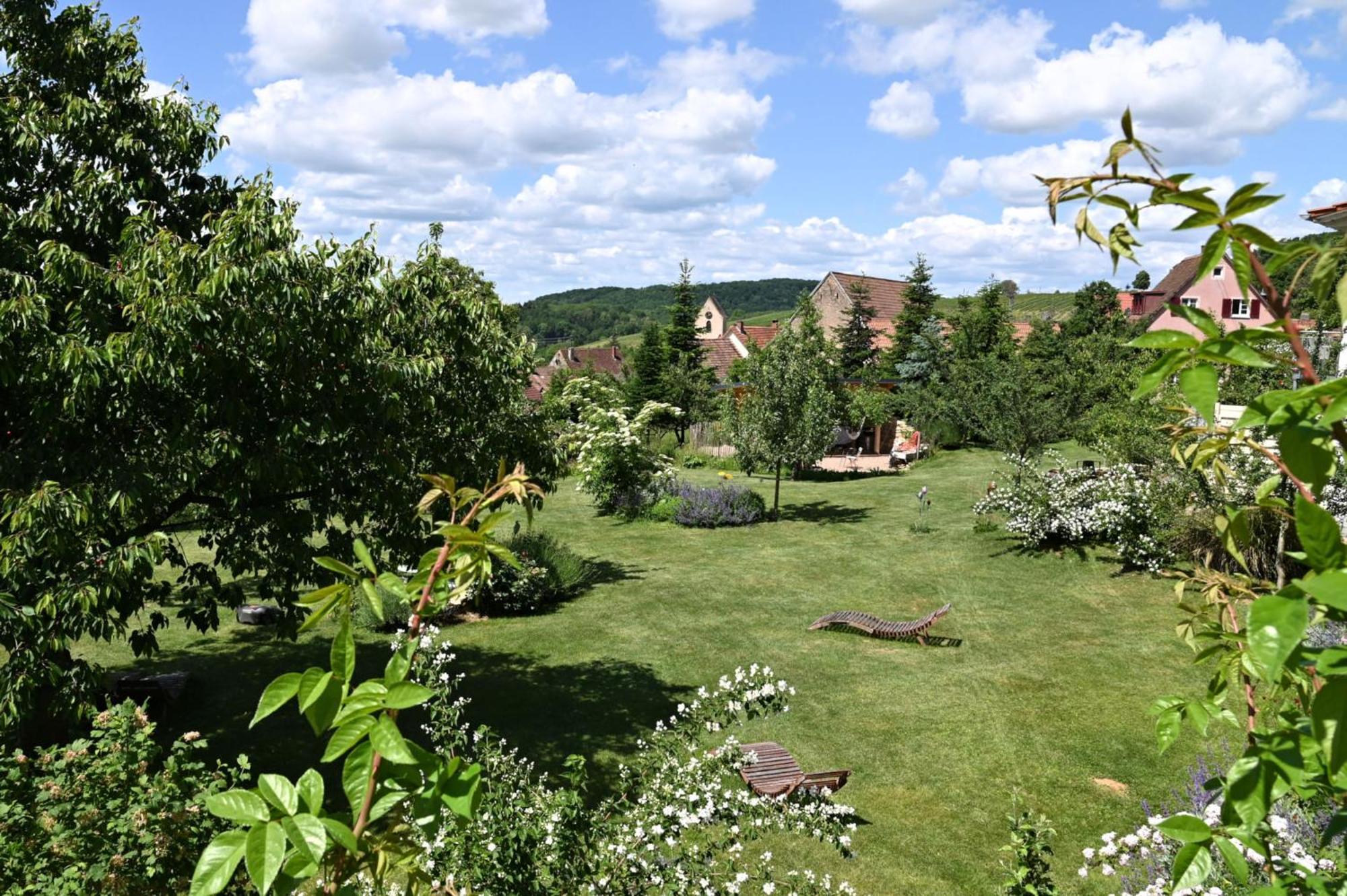 Am Paradies Mullheim  Exterior foto