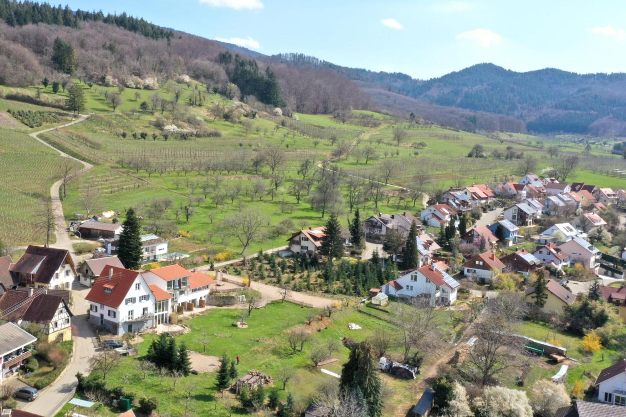 Am Paradies Mullheim  Exterior foto