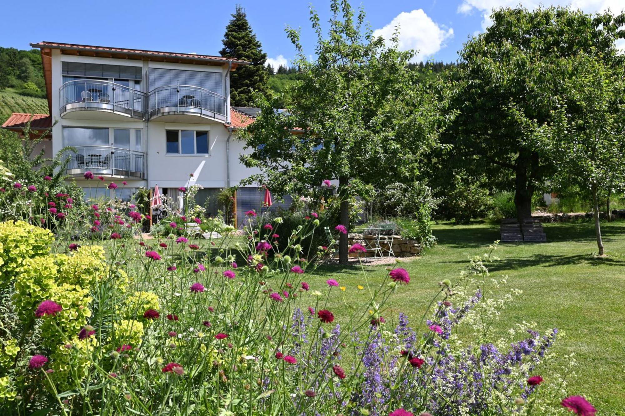 Am Paradies Mullheim  Exterior foto