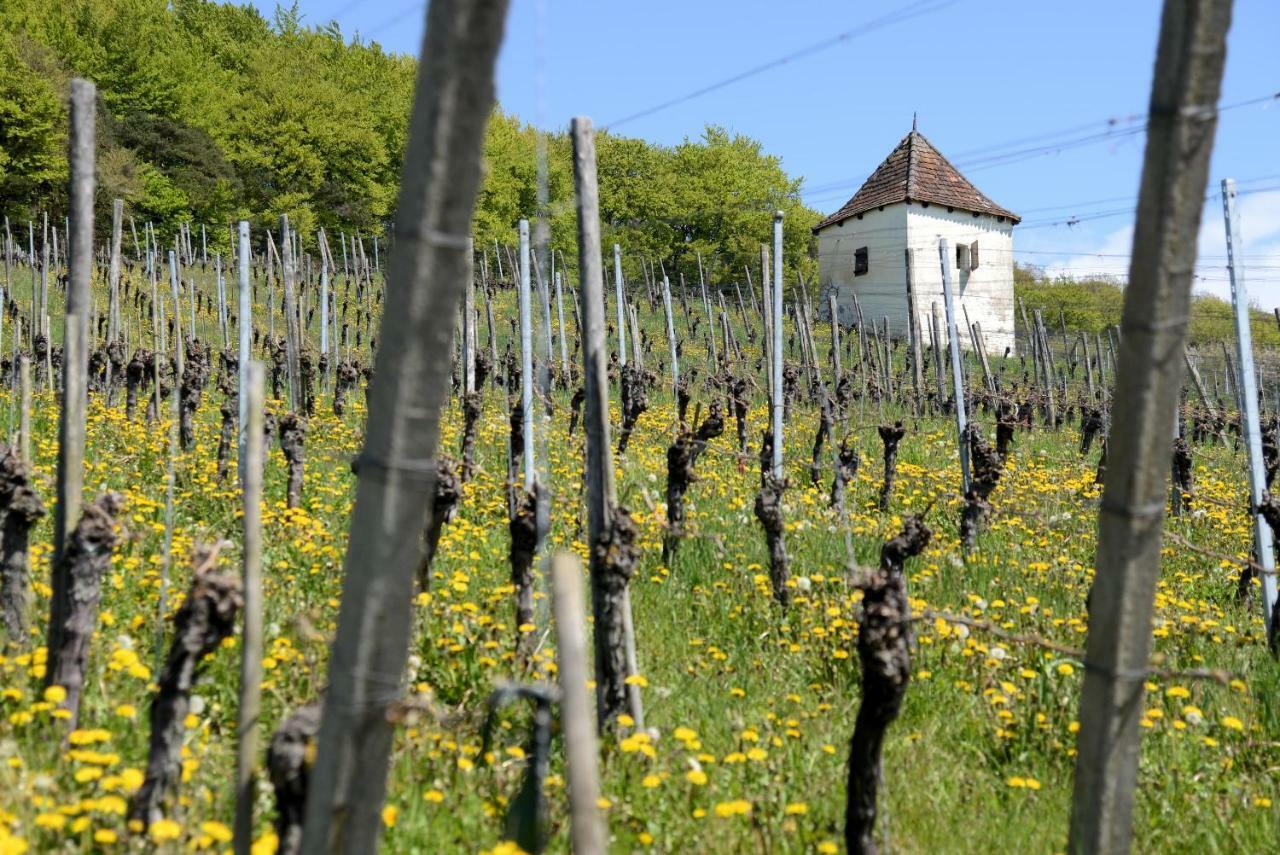 Am Paradies Mullheim  Exterior foto